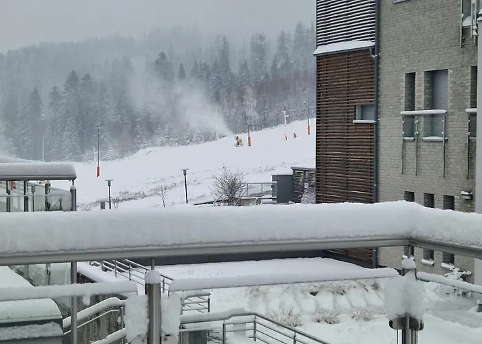 White Wool Siglany, Magiczny Horyzont *